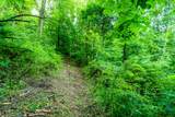 Lt0 Smyth Hollow Rd - Photo 22