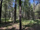 Lt0 Peterson Rd - Photo 10