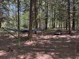 Lt0 Peterson Rd - Photo 13