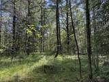 Lt0 Peterson Rd - Photo 8