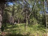 Lt0 Peterson Rd - Photo 9