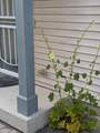 2686 Humboldt Blvd - Photo 5