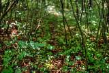 00 Lyster Rd - Photo 20