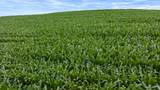 00 Lyster Rd - Photo 23