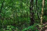 00 Lyster Rd - Photo 24