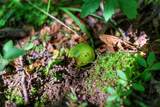 00 Lyster Rd - Photo 25
