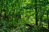 00 Lyster Rd - Photo 27