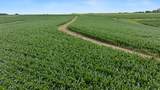 00 Lyster Rd - Photo 28