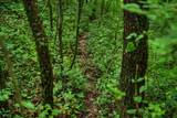 00 Lyster Rd - Photo 6