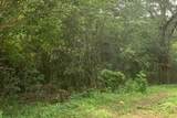 Lt0 Bridle Ct - Photo 1