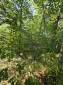Lt0 Oak Ridge Rd - Photo 4