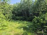 Lt1 Oak Ridge Rd - Photo 1