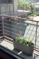 215 Maple St - Photo 33