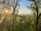 1555 Crescent Hills Dr - Photo 40