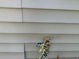 1301 Garland St - Photo 141