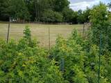 N4439 Cedar Lane Rd - Photo 26