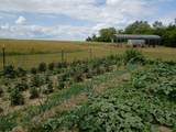 N4439 Cedar Lane Rd - Photo 4