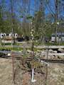 N4439 Cedar Lane Rd - Photo 41