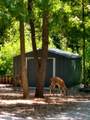 N4439 Cedar Lane Rd - Photo 44