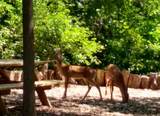N4439 Cedar Lane Rd - Photo 52