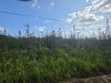 Lt0 Broennenberg Rd - Photo 1