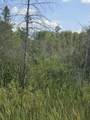 Lt0 Broennenberg Rd - Photo 2