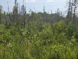 Lt0 Broennenberg Rd - Photo 3