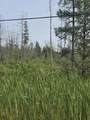 Lt0 Broennenberg Rd - Photo 4