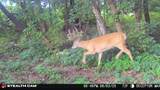 Lot 19 River Dr - Photo 10