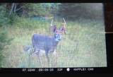 Lot 22 River Dr - Photo 15