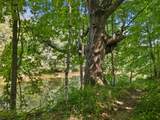 5543 State Highway 38 - Photo 2