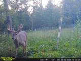 7534 Hinkst Hollow Rd - Photo 25