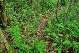 7534 Hinkst Hollow Rd - Photo 27