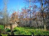 7534 Hinkst Hollow Rd - Photo 28