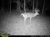 7534 Hinkst Hollow Rd - Photo 3