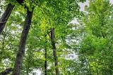 7534 Hinkst Hollow Rd - Photo 46