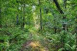 7534 Hinkst Hollow Rd - Photo 47