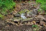 7534 Hinkst Hollow Rd - Photo 49