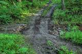7534 Hinkst Hollow Rd - Photo 51