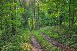 7534 Hinkst Hollow Rd - Photo 52