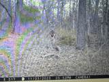 7534 Hinkst Hollow Rd - Photo 55
