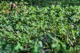 7534 Hinkst Hollow Rd - Photo 58