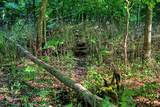 7534 Hinkst Hollow Rd - Photo 61