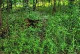 7534 Hinkst Hollow Rd - Photo 62