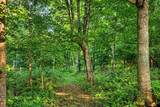 7534 Hinkst Hollow Rd - Photo 67
