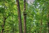 7534 Hinkst Hollow Rd - Photo 68