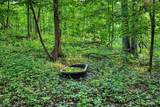 7534 Hinkst Hollow Rd - Photo 70