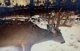 7534 Hinkst Hollow Rd - Photo 8