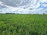 1602 State Hwy 60 - Photo 40