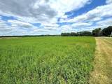 1602 State Highway 60 - Photo 36